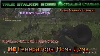 True Stalker 2026 Настоящий Сталкер Stream Стрим Полное Прохождение #18 Генераторы Ночь Дичь