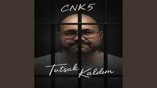 YANSIN DÜNYA