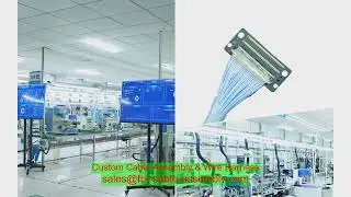 OEM ODM Automotive Wire Harness Customize 2 Pin Cable Wire Harness Manufacturer