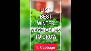 118-winter vegetables/list of vegetables grow in winter 😊