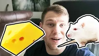 BUYING FOOD FOR SNAKES (Big Cheese Rodent Factory)