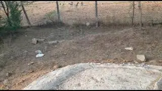Commercial land for sale : 50 Acers.