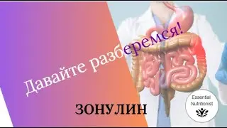 Зонулин: Важность для здоровья ЖКТ.