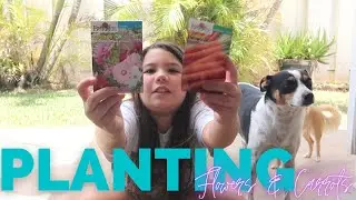 PLANTING SEEDS  || HOLO HOLO KIDS