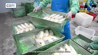 【ID】 Freezer IQF Spiral Ganda 1000 kg/jam | Untuk Pengolahan Fillet Ikan | CBFI