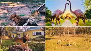 Bathinda Mini Zoo and Deer Safari | Bir Talab #bathinda #minizoo #punjabivl...#punjabivlogs