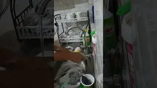 Asmr dish washing