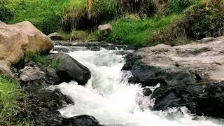 Tranquil Alpine River [ASMR] &ndash; For Anxiety Relief, Deep Rest & Reading Focus