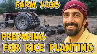 Preparing the Field for Rice &ndash; Real Farm Vlog #farmlife #farming #villagelife 