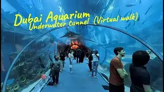 Dubai aquarium  - underwater tunnel
