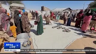 Refugees fleeing Sudan&rsquo;s El-Fasher face aid shortages at Chadian border