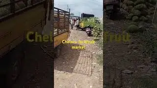 cheluru Jackfruit market @ indian Jackfruit