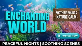 🦀Enchanting Aquarium World🦀