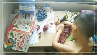 How to make a doll By Xavier Daniel Bangert