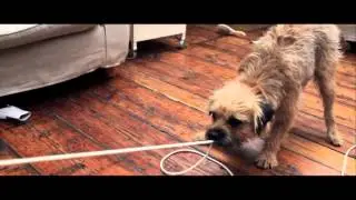 Rocket | Virgin Media Shorts 2012 shortlist