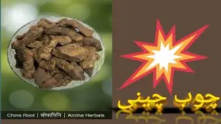 Chobchini/چوب چینی/china Roots/smilax china.