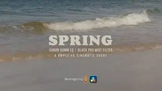 SPRING | BLACK PRO MIST FILTER TEST | CANON FD 50MM | BMPCC 4K