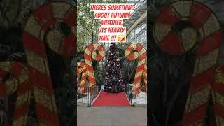 Centreparks, Whinfell Forest Christmas 2025 here we come ! #christmas #countdown #forest