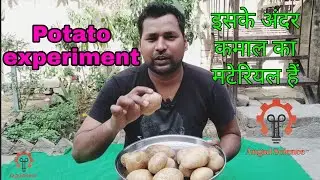 Potato experiment  @angad science