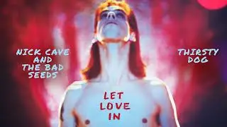 Nick Cave & The Bad Seeds - Thirsty Dog (Official Audio)