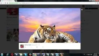 Twitter Account Management