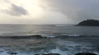 Bold & Beautiful Swimming with a Southern Right Whale 24th July 2012.mov