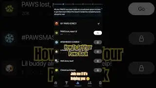 paws new task | paws new limited task | All Paw's Gone | Paws New Mystery Quest Task #paws #airdrop