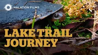 Lake Trail Journey | Cinematic Nature Film