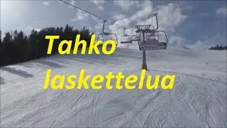 Tahkolla laskettelua
