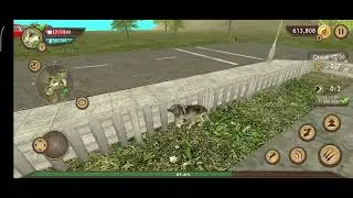 Dog Sim Part 160