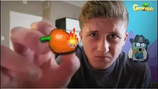 Growtopia | Hot Pepper Parkour Challenge!