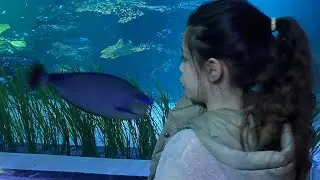 Universeum och nya Miniuniverseum