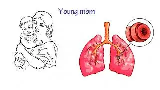 Probiotic Fogging Service