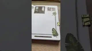 My may 2023 plants bujo setup