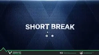 Clean Animated Stream Screens