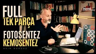 Fotosentez | Full Tek Parça
