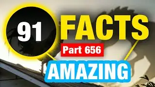 91 Incredibly Interesting Facts | Mind Blowing Facts You Didn&rsquo;t Know