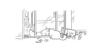 Mirror Mirror   Simon's Cat