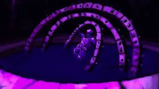 The Tormented One [Fear and Hunger inspired cover] ft. SOLARIA