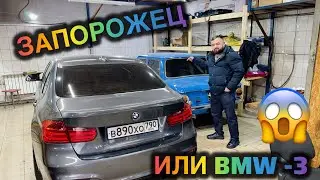 Запорожец-1974 год 😱ШОК БОЛОСУЗ#89253400007