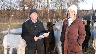 AgroSFERA: Produkty z wełny alpak. Alpakraina w Karwowie koło Opatowa