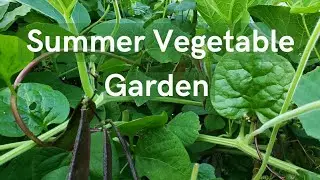 14. Summer Vegetable Garden #garden #vegetablegarden #gardening