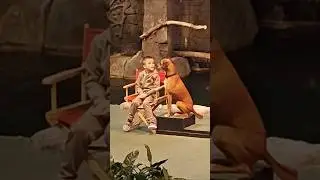Animal Actors