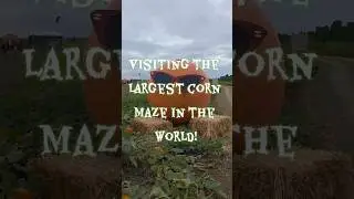 Cool Patch Pumpkins in Dixon, CA is in the Guinness Book! #cornmaze #Halloween #pumpkin #autumn