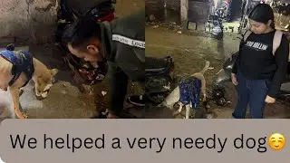 We helped a very needy dog☺️ #doglover #dailyvlogs #helpdogs #youtuber