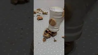 호두까기 어떤게 제일 쉬운 방법? 가족별 #food
