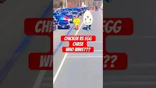 Police Chase Chicken & Egg on Scooters Down Highway 😭🚓🐔🥚