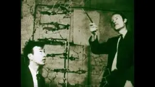 The DNA Story - actual footage of Watson, Crick, Wilkins, and Pauling - great historical video