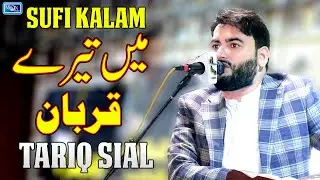 Main Tere Qurban | Tariq Sial | Latest Kalam | Moon Studio Official