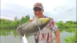 Spot nila paling jos dekat2 ikan nya 